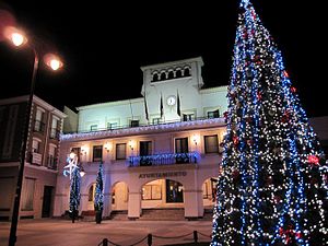 Place la Constitution illuminée à Noël en 2009.