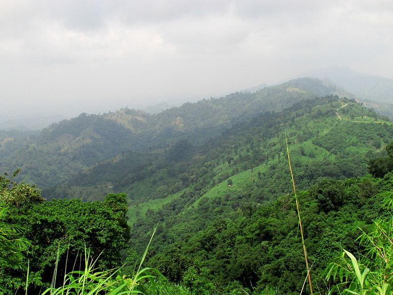 File:Scenic View Nilgiri.JPG