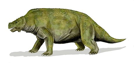 Pareiasauridae