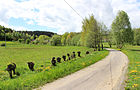 Čeština: Cesta do Násilova k Monínu, části Sedlece-Prčice English: Road from Násilov to Monín, part of Sedlec-Prčice, Czech Republic.