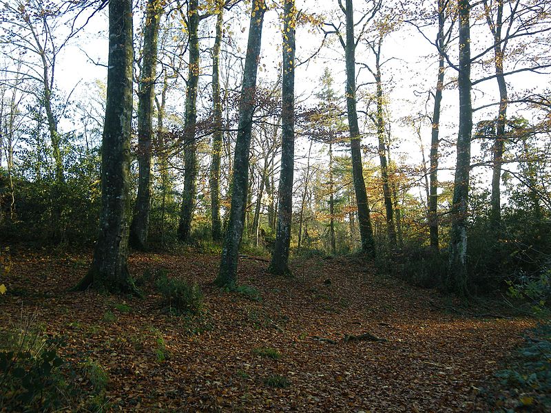 File:Sentier bordant le loch - panoramio (1).jpg