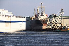 Das vom Tsunami auf den Kai im Hafen von Sendai gespülte südkoreanische Frachtschiff Glovis Mercury (Foto: 25. April 2011)