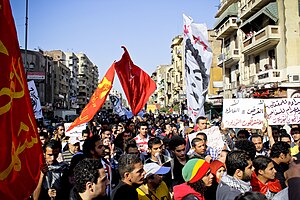 2012–2013 Egyptian Protests
