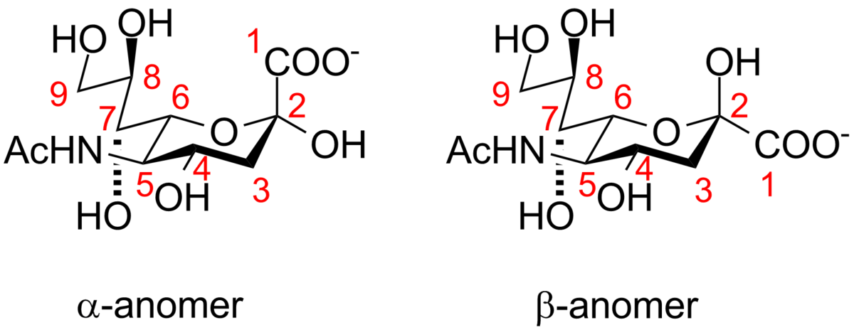 Neuraminic acid anomeric configuration