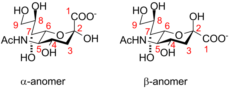 File:Sialic acids 2.png