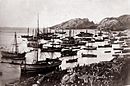 Fra sildefiske i Bodø omkring 1870. Foto: Salten museum