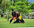 Gambar mini seharga Silat Harimau