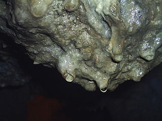 Gouttes d'eau se formant à l'extrémité d'une stalactite (Grotte de Loltun (en), Yucatan).