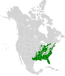 Distribution of the eastern musk turtle (S. odoratus), the other species in the genus occur within southern areas of its range Sternotherus odoratus map.svg