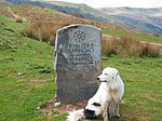 Stone sign marking Bryn Oer Tramroad - geograph.org.uk - 83603.jpg