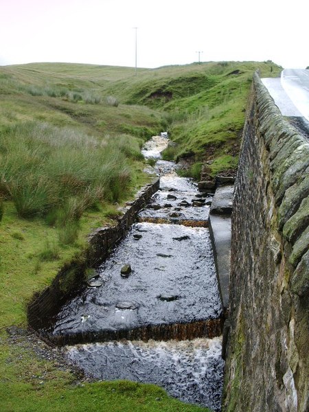 File:Stream - geograph.org.uk - 483078.jpg