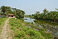 Stream Ichamati - Purba Para - Baduria - North 24 Parganas 2015-04-11 7198.JPG