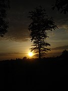 Sunset in Cambodia 2012.jpg