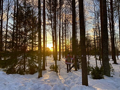 Sunset in Winter through the trees at Malye Korely, Arkhangelsk Oblast