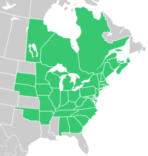 Description de l'image Symphyotrichum_cordifolium_distribution.png.