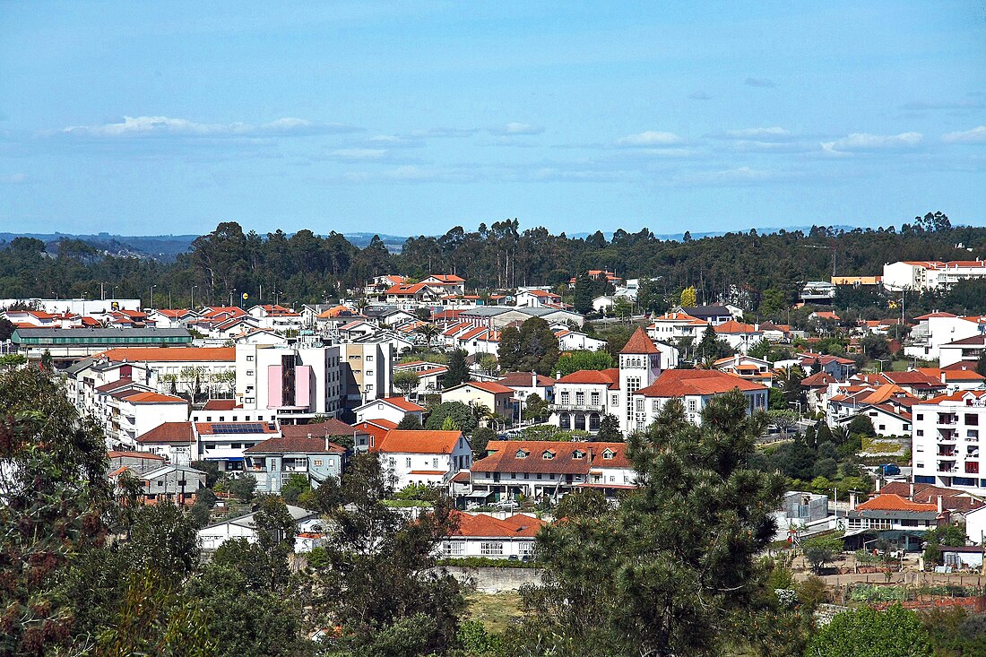 Tábua (freguesia)