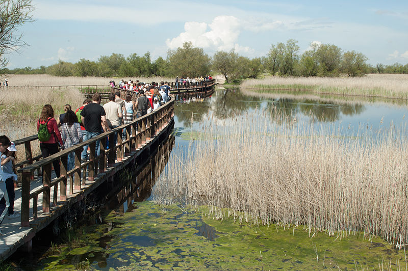 File:Tablas de Daimiel, Ciudad Real 04.jpg