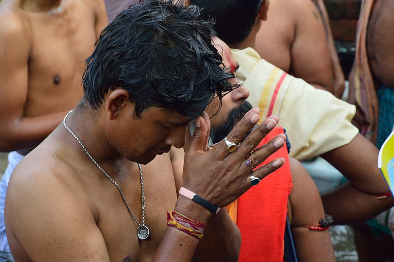 File:Tarpan - Jagannath Ghat - Kolkata 2012-10-15 0643.JPG