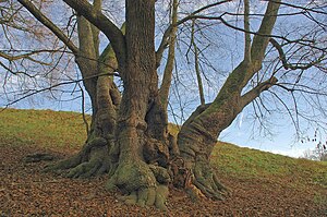 Wessobrunn: Geographie, Geschichte, Politik