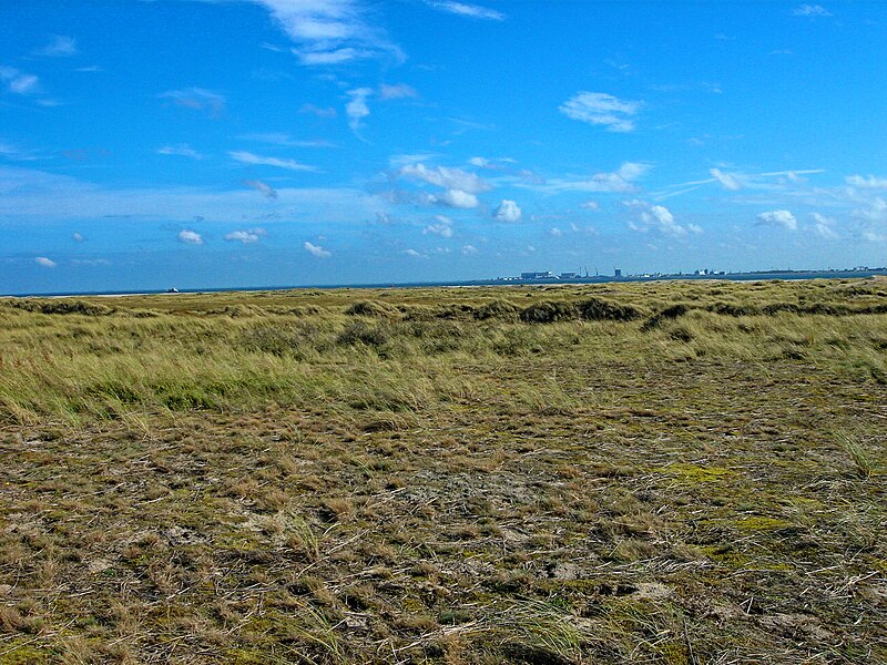 File:Texel - De Hors - View SE.jpg