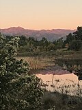 The Pink Moment on Chief Peak, as seen from across a vernal pool at Ojai Meadows Preserve.