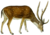 The deer of all lands (1898) Chital white background.png
