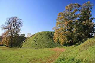 <span class="mw-page-title-main">Thetford Castle</span> 11th-century castle in Thetford, England