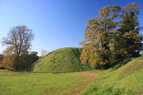 Thetford Castle, or Castle Mound - geograph.org.uk - 1028909.jpg