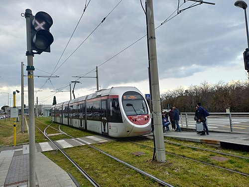 Trams in Firenze