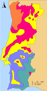 Distribution of the genus Quercus in Portugal.

.mw-parser-output .legend{page-break-inside:avoid;break-inside:avoid-column}.mw-parser-output .legend-color{display:inline-block;min-width:1.25em;height:1.25em;line-height:1.25;margin:1px 0;text-align:center;border:1px solid black;background-color:transparent;color:black}.mw-parser-output .legend-text{}
Quercus robur
Quercus pyrenaica
Quercus faginea
Quercus rotundifolia
Quercus suber Tree types of Portugal.svg