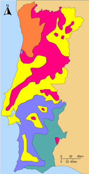 Distribution of the genus Quercus in Portugal..mw-parser-output .legend{page-break-inside:avoid;break-inside:avoid-column}.mw-parser-output .legend-color{display:inline-block;min-width:1.25em;height:1.25em;line-height:1.25;margin:1px 0;text-align:center;border:1px solid black;background-color:transparent;color:black}.mw-parser-output .legend-text{}  Quercus robur  Quercus pyrenaica  Quercus faginea  Quercus rotundifolia  Quercus suber
