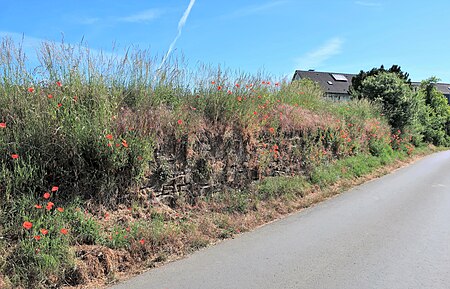 Trockenmauer Garenfelder Weg