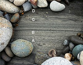 A Bouma sequence in a turbidite with coarser grained sediment underlying more fine sediments.