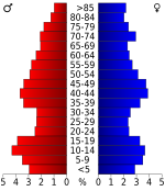 Age pyramid