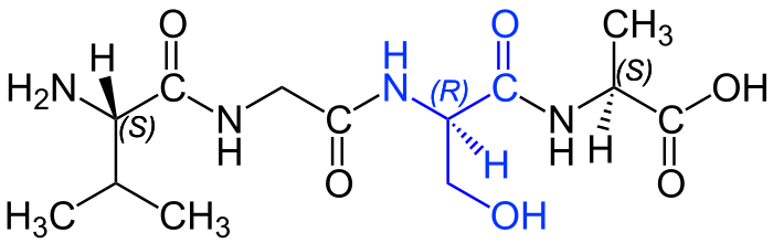 Gly структурная формула. Тетрапептид. Структурная формула пептида. Трипептид Gly-ser-Val.