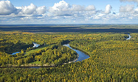 Река Васюган в Томской области, вид с вертолёта.