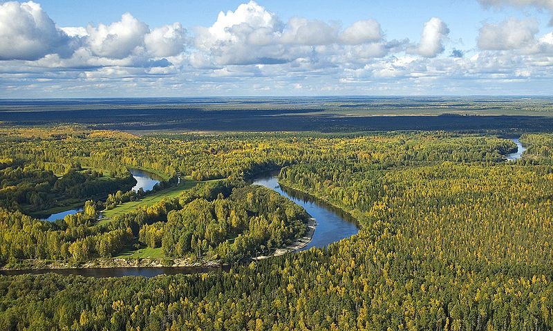 Западная сибирь фото. Западная Сибирь река Васюган. Река Васюган. Тайга Западно сибирской равнины. Река Васюган Томская область.