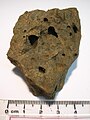 Vesicular porphyritic olivine basalt sample.jpg