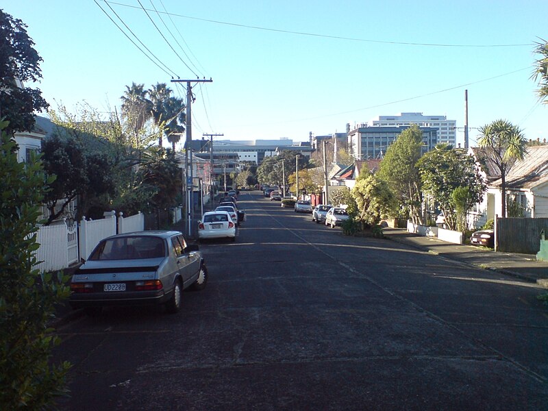 File:View Over Grafton From Claremont Str.jpg