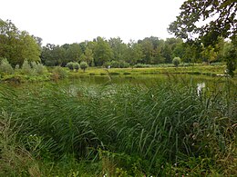 Visvijver Nierhoven