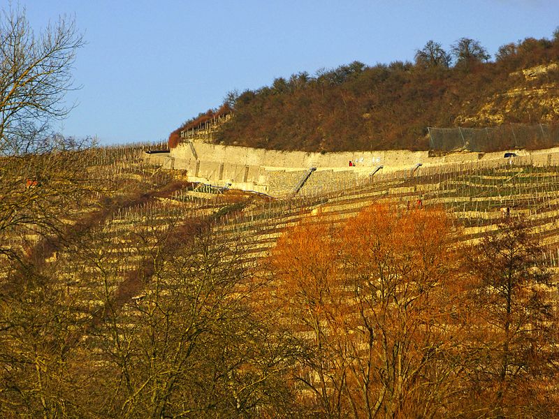 File:Vineyards In The Valley - panoramio.jpg