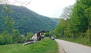 <span class="mw-page-title-main">Vrt, Kočevje</span> Place in Lower Carniola, Slovenia