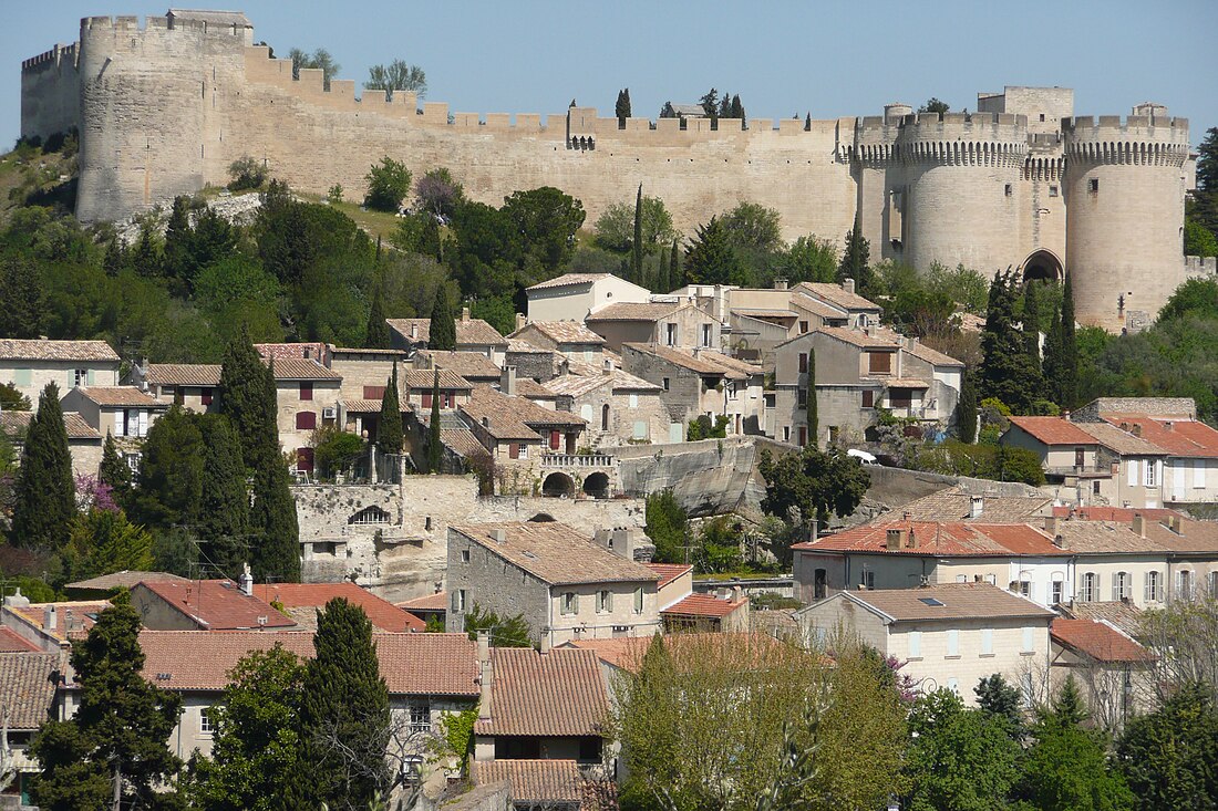 Fort Saint-André (Villeneuve-lès-Avignon)