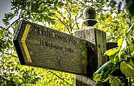 Walking the pilgrims way North Downs Way near Hollingbourne.jpg