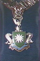 Warringah Council coat of arms on Mayoral chain