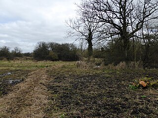 Weston Fen, Oxfordshire Biological site of specific scientific interest in Oxfordshire