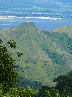 Cordillera de la Costa montane forests