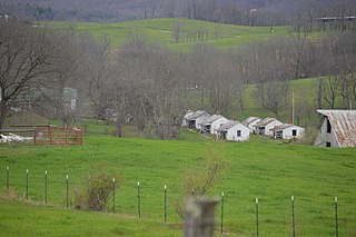 <span class="mw-page-title-main">Wythe County Poorhouse Farm</span> United States historic place