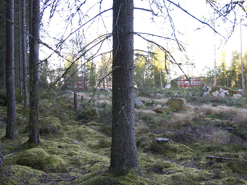 File:Zengården seen from forest.jpg