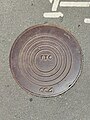 * Nomination: A manhole cover --Lvova 19:36, 28 July 2024 (UTC) * * Review needed